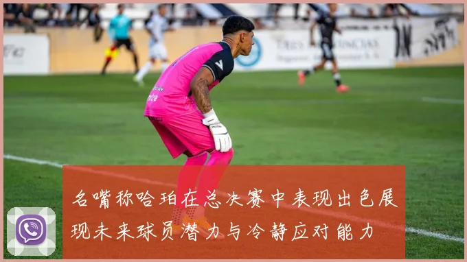 名嘴称哈珀在总决赛中表现出色展现未来球员潜力与冷静应对能力